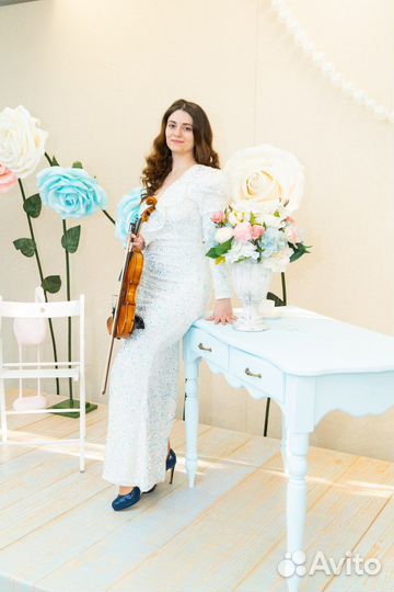 Скрипка на праздник. Живая музыка