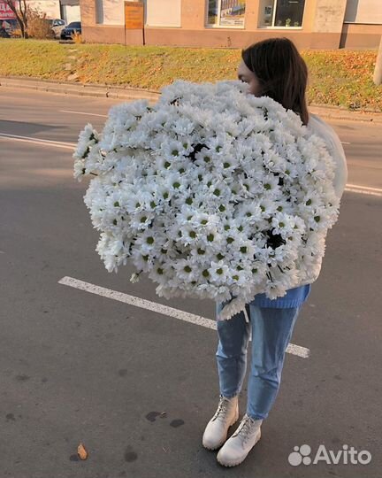 Букеты хризантем (доставка)