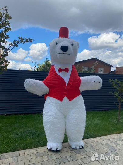 Поздравление белый мишка чебурашка аниматор