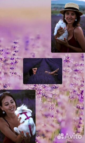 Фотосессия