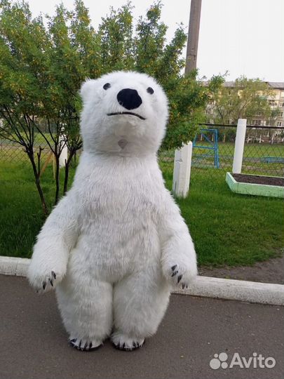 Ростовой костюм медведя продам