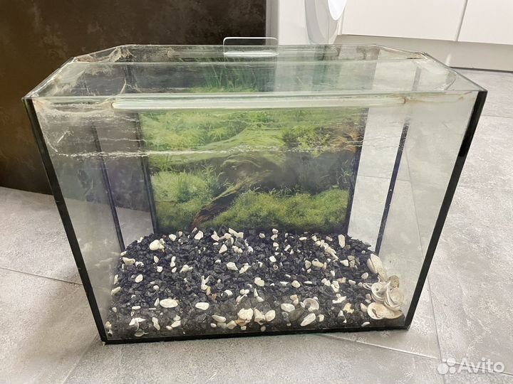 Аквариум 20 литров