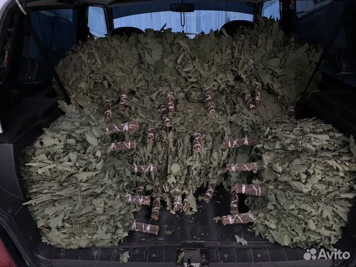 Веники дубовые