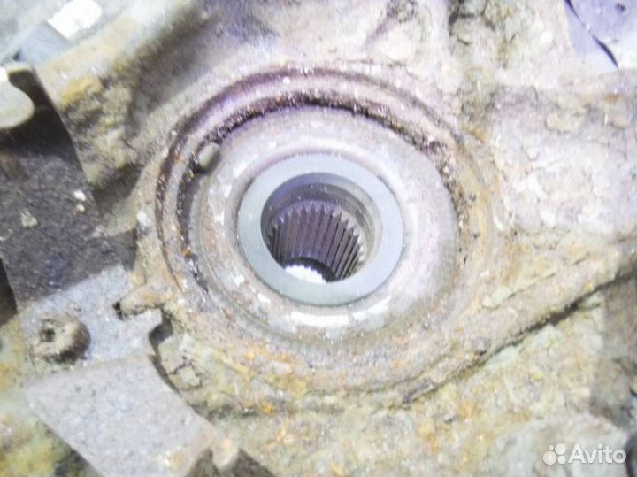 Кулак задний правый