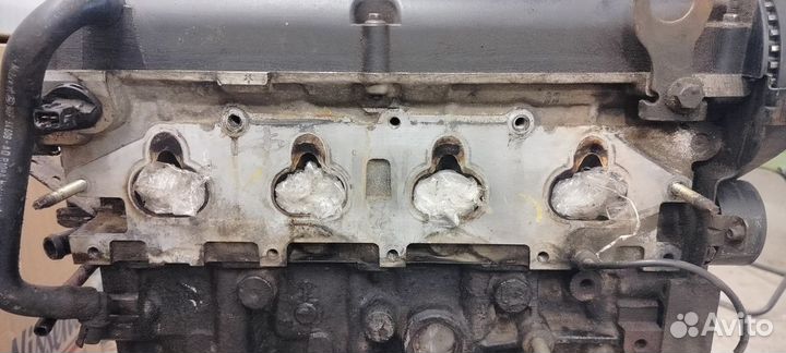 Двигатель Ford Focus 1 eddb 2.0L Zetec-E