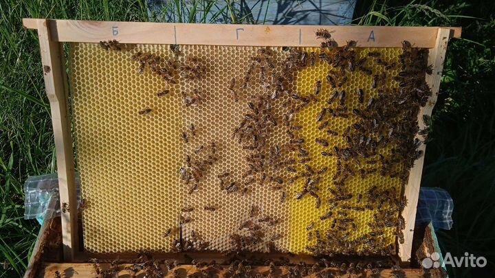 Вощина из воска натурального