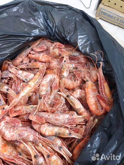 Креветка Ботан