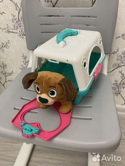 Питомец в переноске