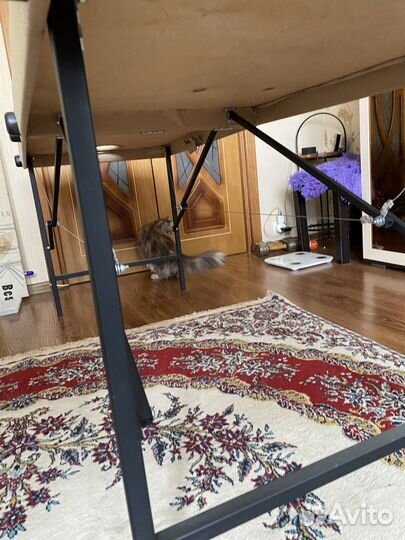 Массажный стол складной с вырезом