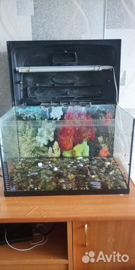 Аквариум