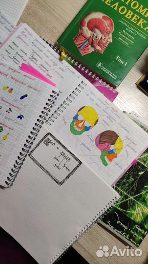 Репетитор по био, медицине. Расшифровка анализов