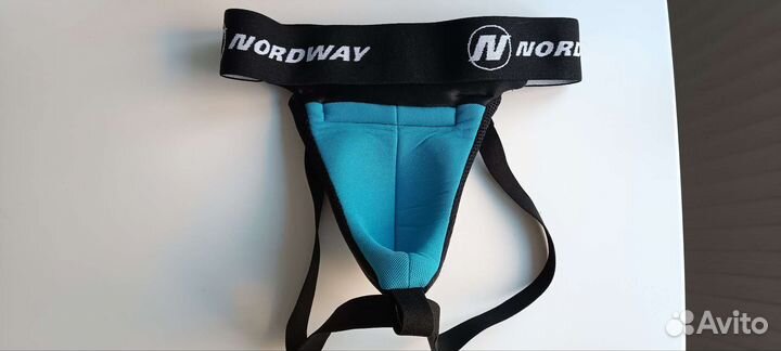 Ракушка хоккейная