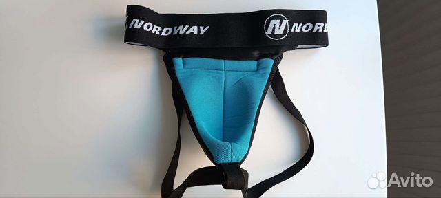 Ракушка хоккейная