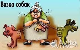 Инструктор по вязке собак (случка собак)