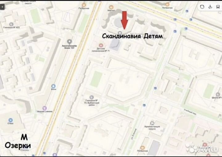 Коляска Anex Cross 2 в 1