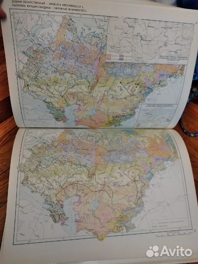 Атлас лекарственных растений