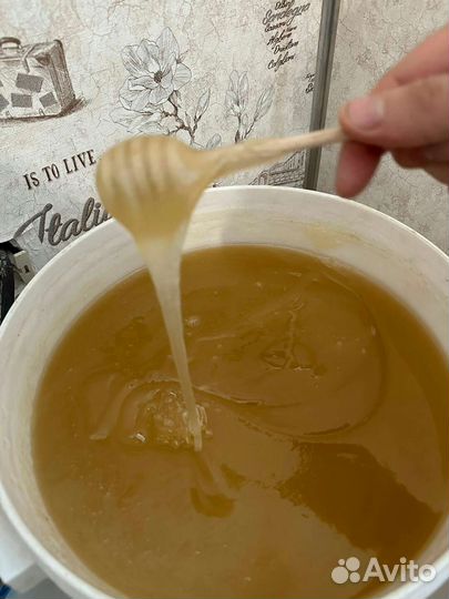 Мёд урожай 2023