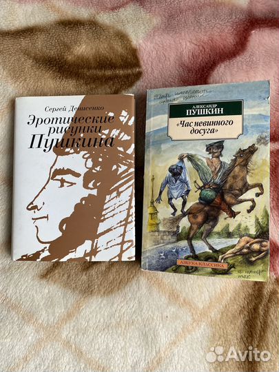 Денисенко рисунки Пушкина