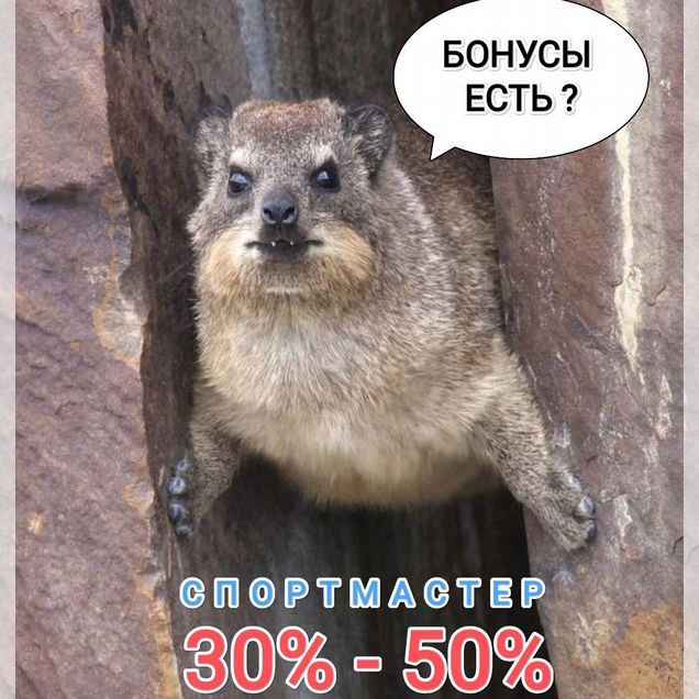 Бонусы спортмастер
