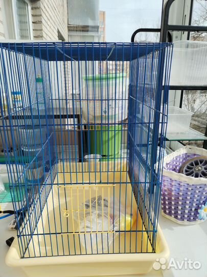 Клетка и переноска для грызунов