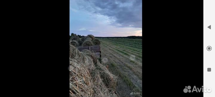 Продам сено в мини рулонах