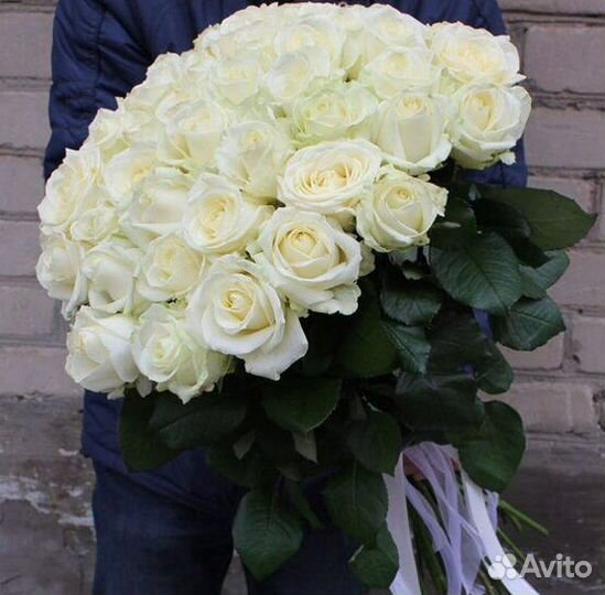 Букет 25 Белых Роз 60см Новосибирск