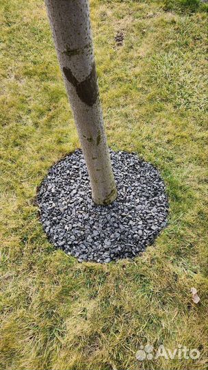 Ваш садовник