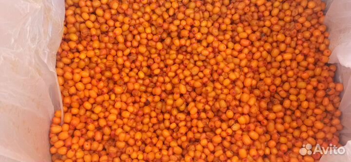 Брусника, клюква, смородина, черника, вишня, ягода