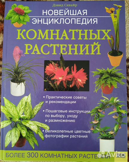 Энциклопедия комнатных растений