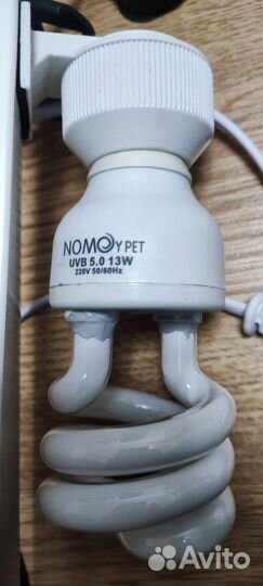 Аквариум для красноухой черепахи