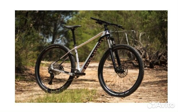 Горный Polygon Syncline C2 29 2022