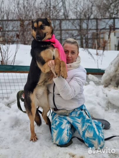 Собака в добрые руки, девочка Корица