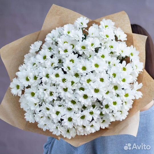 Ромашки, заказать прямо сейчас