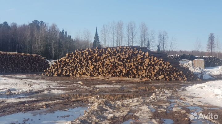 Лес кругляк пиловочник