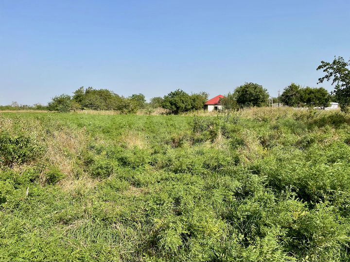 Участок 15 сот. (ИЖС)