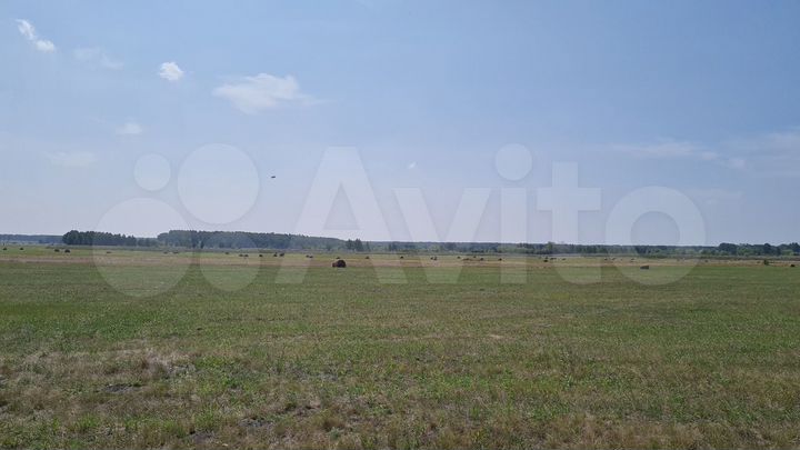 Участок 4,1 га (СНТ, ДНП)