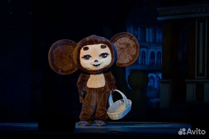 Билеты на мюзикл 