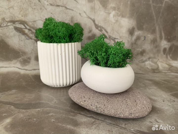 Кашпо с осокой/эвкалиптом/ягелем