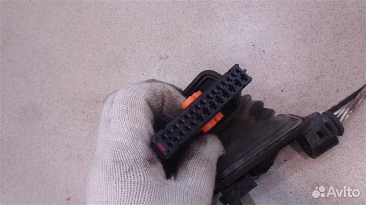 Проводка двери задней левой Volkswagen Passat B6