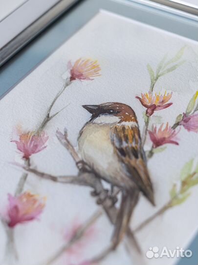 Акварель, картины с оформлением в раме и паспарту