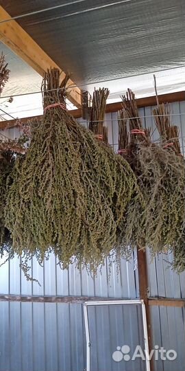 Крымские травы 2023