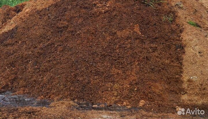 Конский навоз