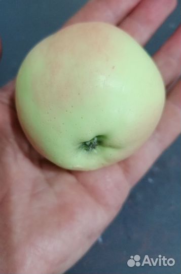 Яблоки. Мыло ручной работы