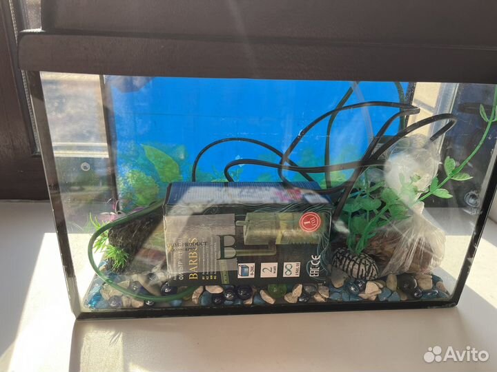 Аквариум маленький полный комплект