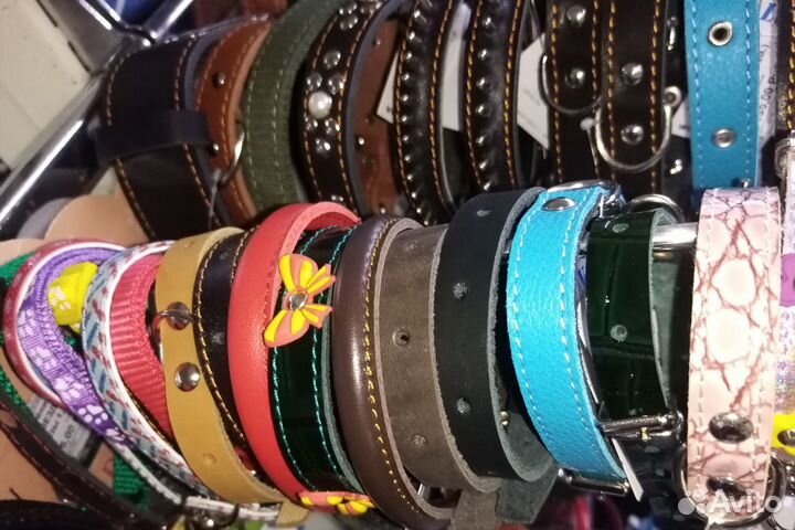 Ошейники для собак