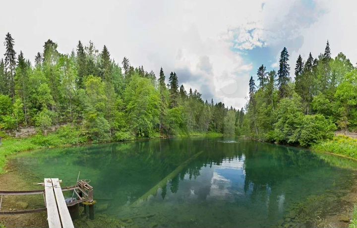 Участок 10 сот. (СНТ, ДНП)