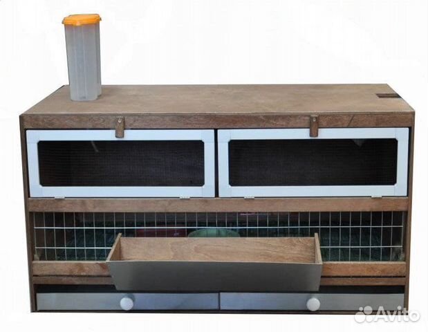 Брудер для перепелов, цыплят