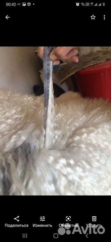 Козье шкурки длиной ворсом