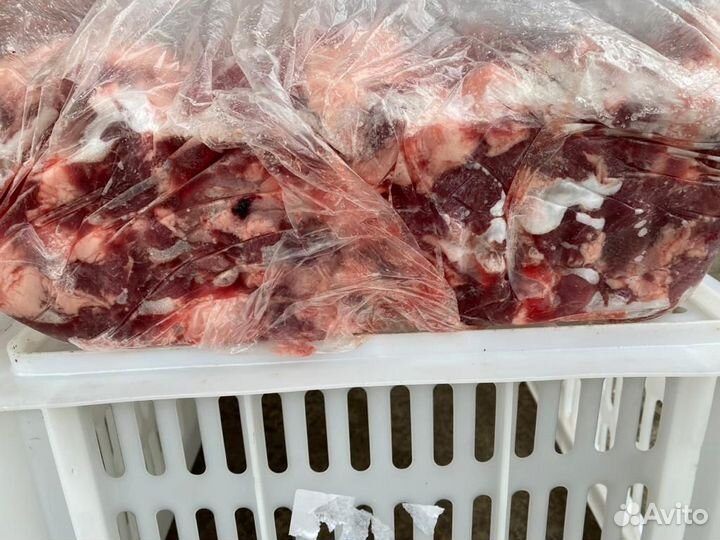 Говядина блочная для самсы, манты, пельмени