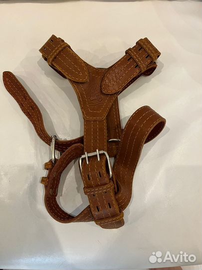 Собачья шлейка, Стаффорд